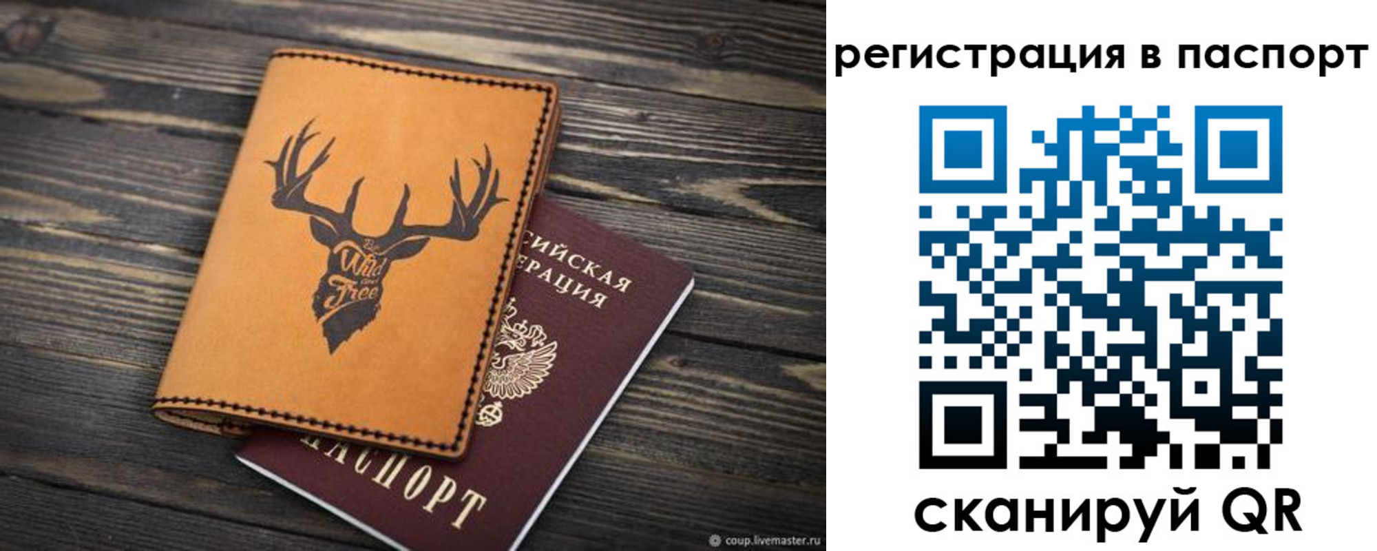 прописка паспорт в Костромской области